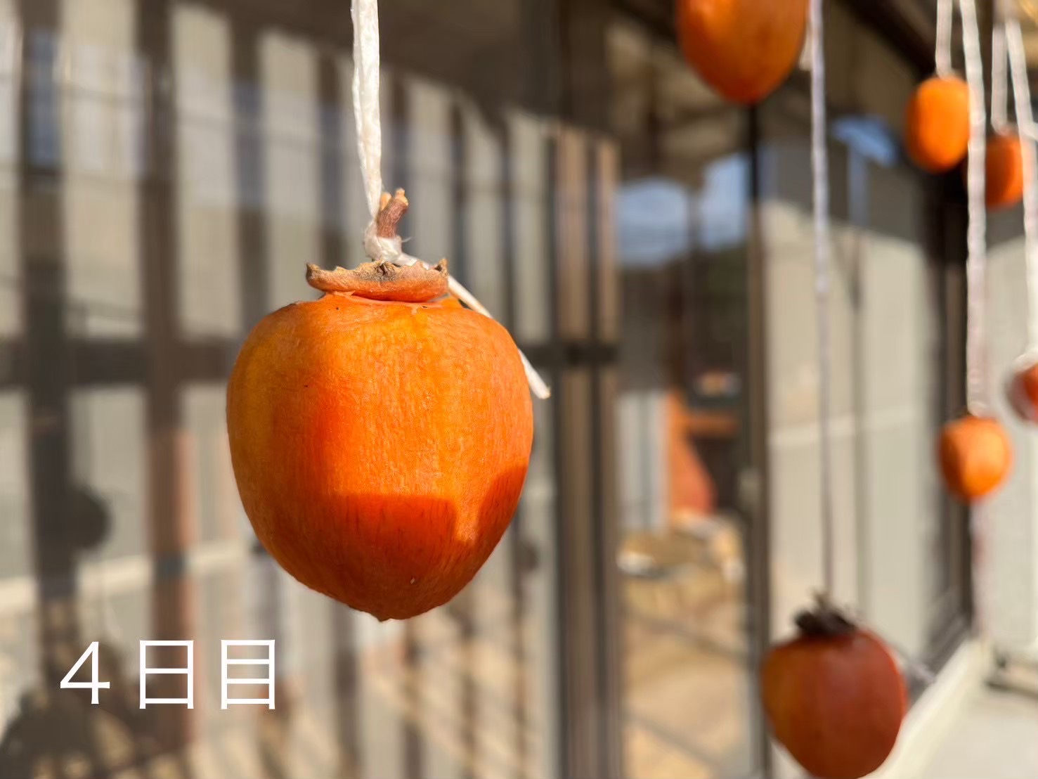 姶良市で就労継続支援B型をお探しの方へ｜受給者証の申請から利用開始まで